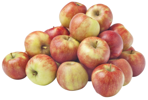 Elstar Appels