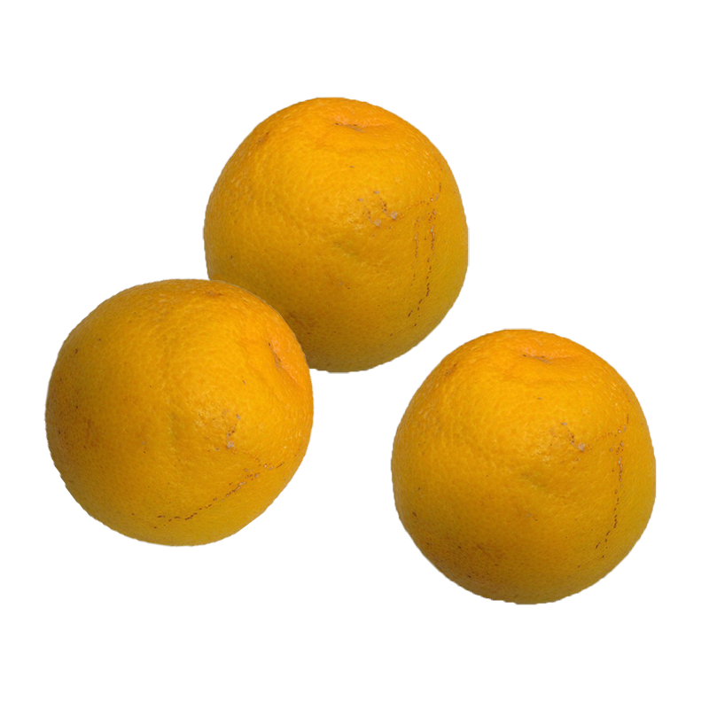 Sinaasappels, Bio